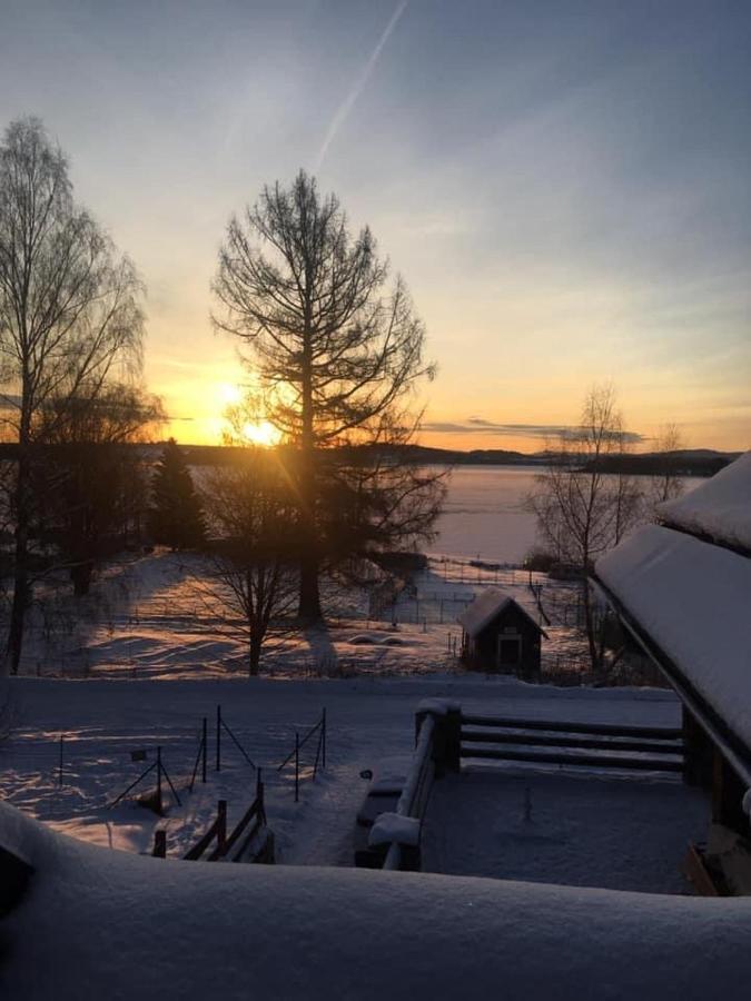 Apartmany Srub Jenisov Horni Plana Luaran gambar