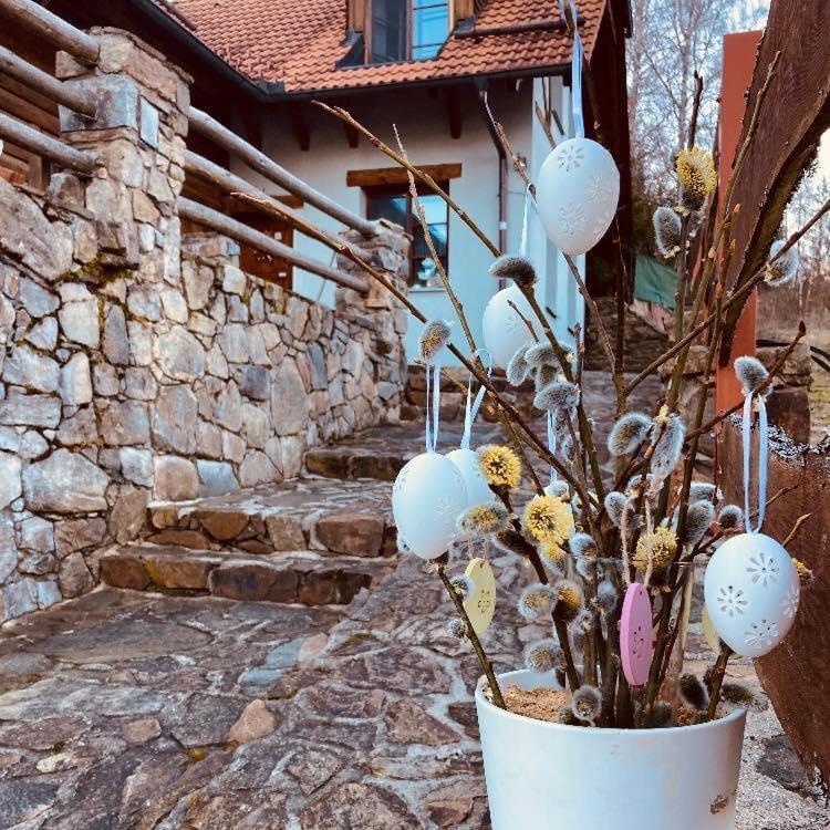 Apartmany Srub Jenisov Horni Plana Luaran gambar